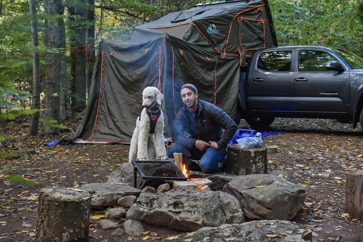 How To Get Dogs Into Rooftop Tents (4 Proven Methods) - Tuff Stuff Overland
